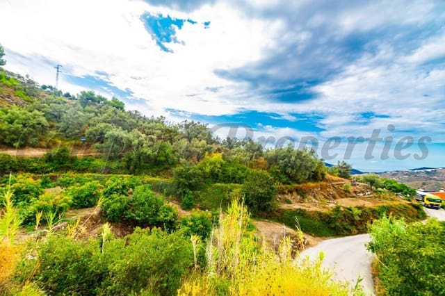 Undeveloped Land for sale in Canillas de Albaida - € 18,000 (Ref: 10075914)