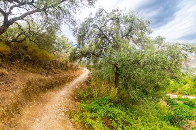Undeveloped Land for sale in Canillas de Albaida - € 18,000 (Ref: 10075914)
