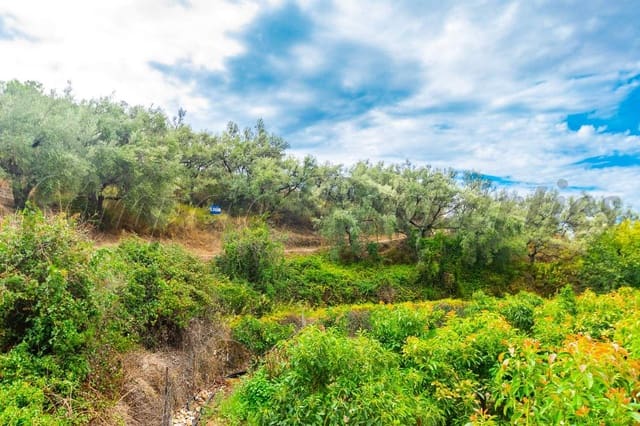 Undeveloped Land for sale in Canillas de Albaida - € 18,000 (Ref: 10075914)