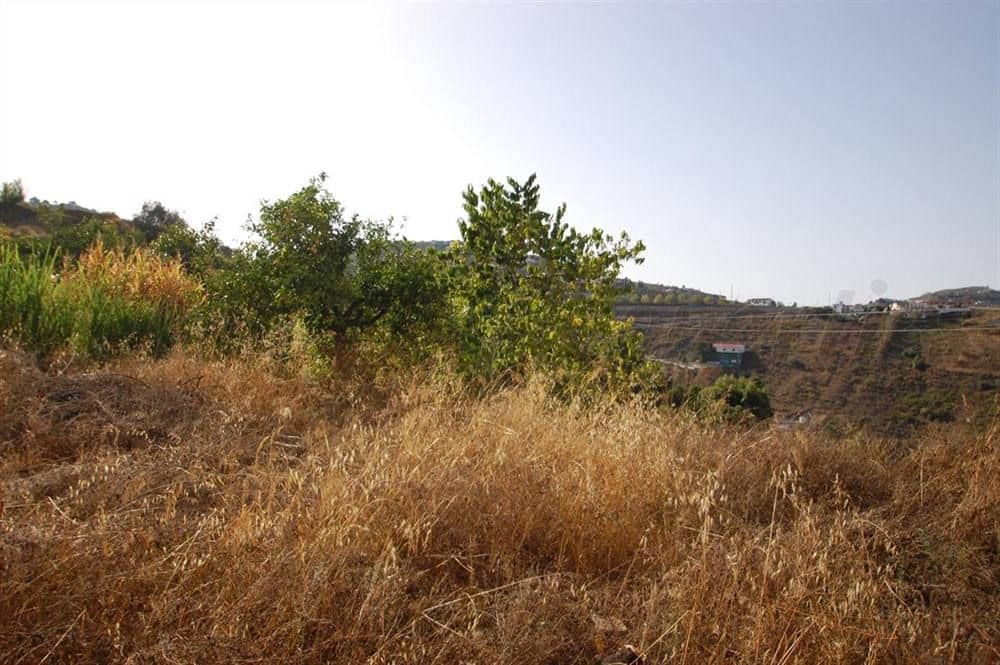 Terre non Aménagée à vendre à Canillas de Albaida - 25 000 € (Ref: 10075916)