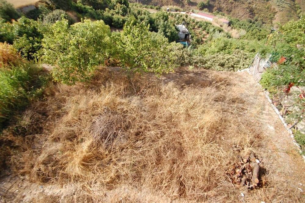 Terre non Aménagée à vendre à Canillas de Albaida - 25 000 € (Ref: 10075916)