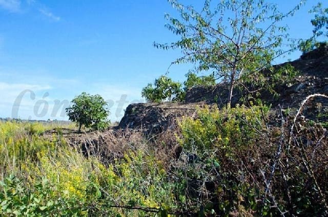 Undeveloped Land for sale in Torrox - € 60,000 (Ref: 10075917)