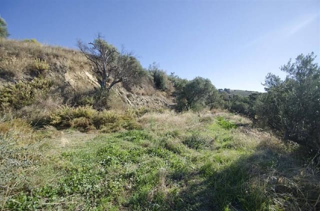 Terre non Aménagée à vendre à Sedella - 169 000 € (Ref: 10075918)