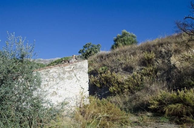Terre non Aménagée à vendre à Sedella - 169 000 € (Ref: 10075918)