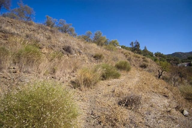 Terreno Não Urbanizado para venda em Cómpeta - 56 000 € (Ref: 10075919)
