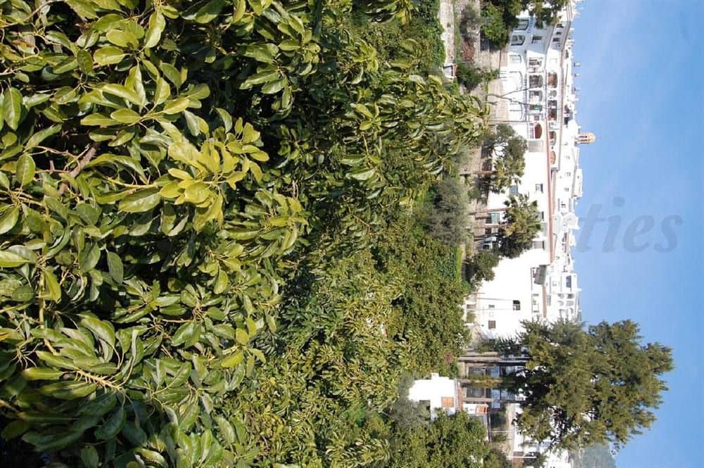 Undeveloped Land for sale in Competa - € 320,000 (Ref: 10075922)