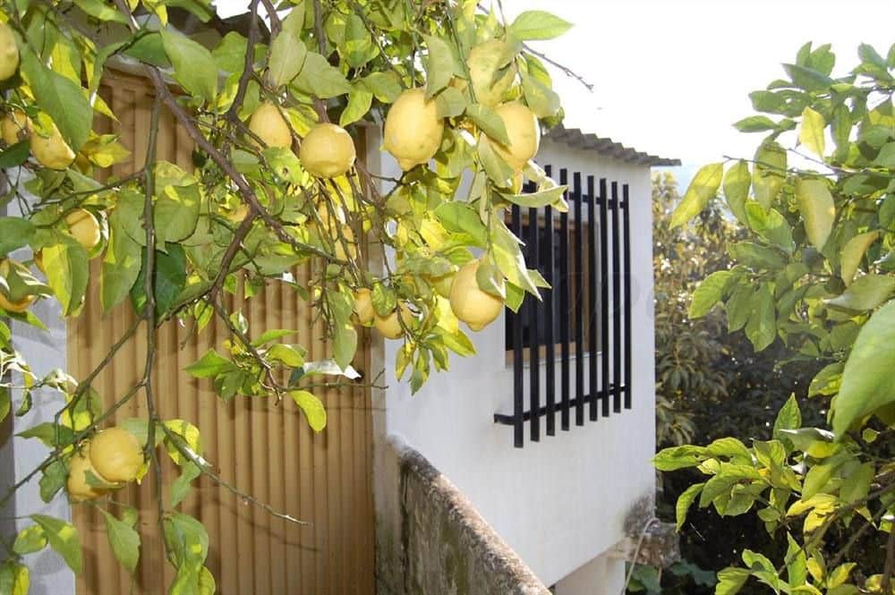 Undeveloped Land for sale in Competa - € 320,000 (Ref: 10075922)
