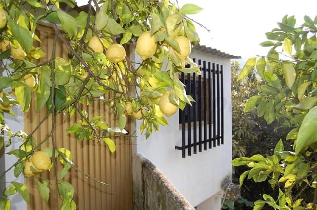 Terreno Não Urbanizado para venda em Cómpeta - 320 000 € (Ref: 10075922)