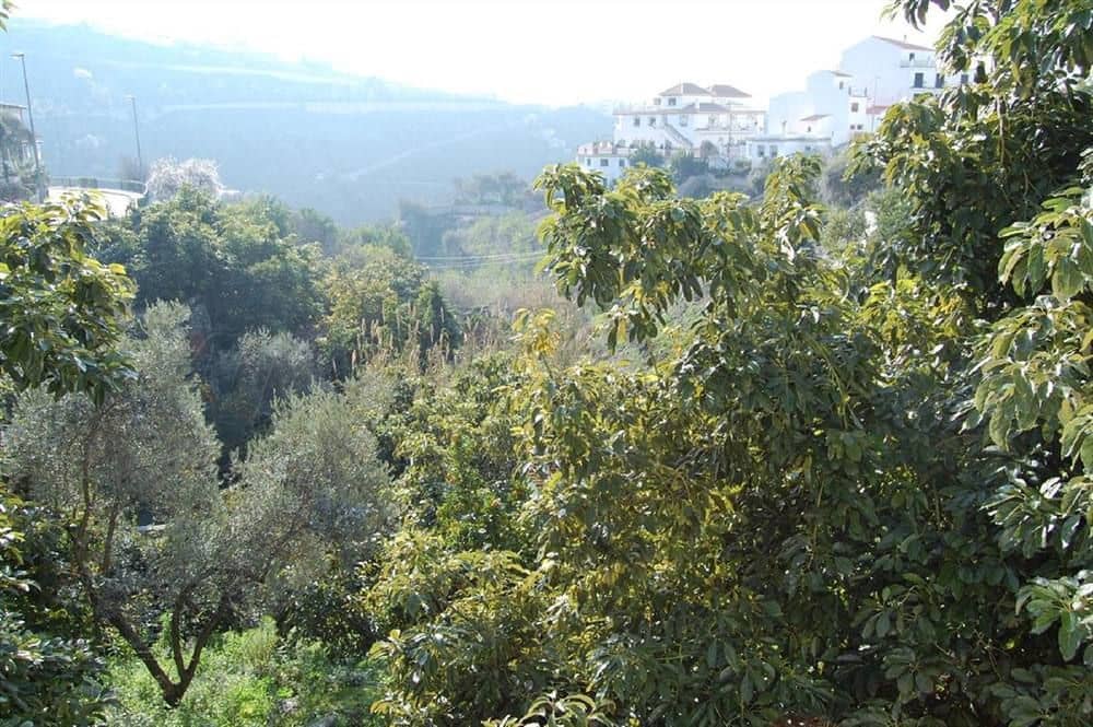 Undeveloped Land for sale in Competa - € 320,000 (Ref: 10075922)