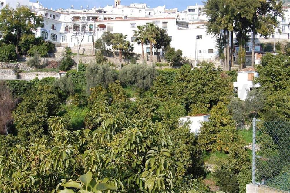 Undeveloped Land for sale in Competa - € 320,000 (Ref: 10075922)
