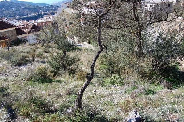 Terre non Aménagée à vendre à Cómpeta - 151 000 € (Ref: 10075926)