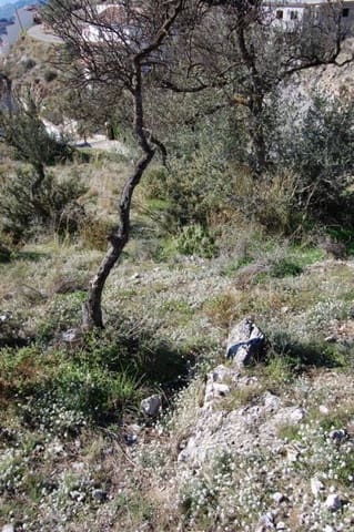 Terre non Aménagée à vendre à Cómpeta - 151 000 € (Ref: 10075926)