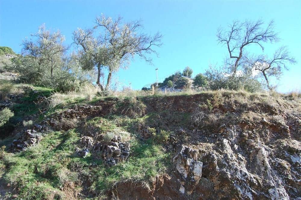Terre non Aménagée à vendre à Competa - 151 000 € (Ref: 10075926)