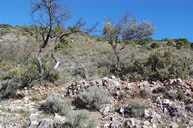 Terre non Aménagée à vendre à Cómpeta - 151 000 € (Ref: 10075926)