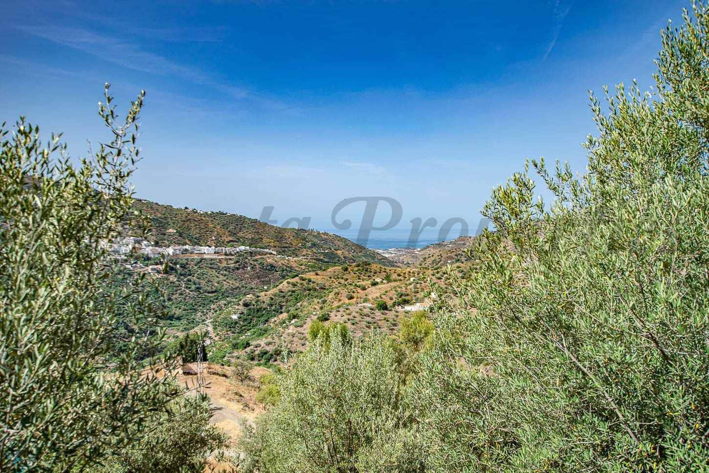3 sypialnia Finka/Dom wiejski na sprzedaż w Sayalonga z basenem garażem - 365 000 € (Ref: 10075959)