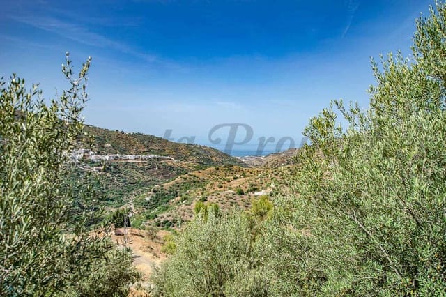3 sypialnia Finka/Dom wiejski na sprzedaż w Sayalonga z basenem garażem - 365 000 € (Ref: 10075959)