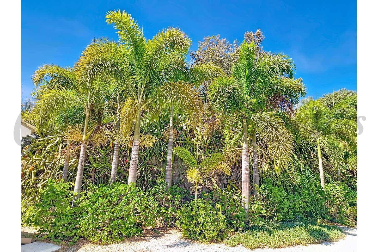 4 soveværelse Finca/Landehus til salg i Velez-Malaga med swimmingpool garage - € 795.000 (Ref: 10075965)