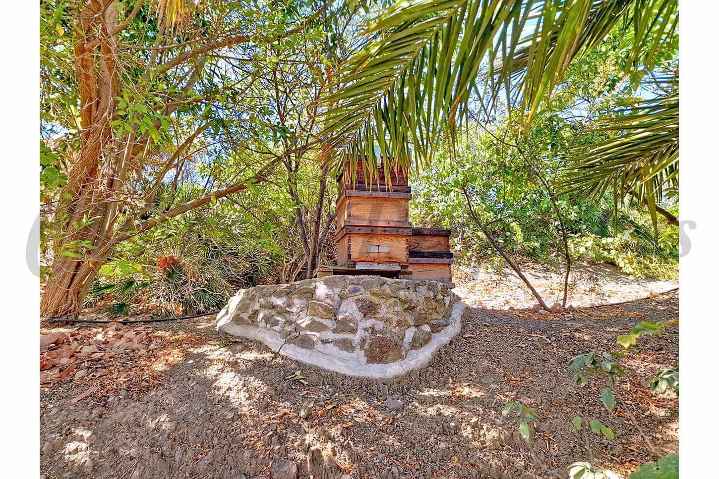 4 soveværelse Finca/Landehus til salg i Velez-Malaga med swimmingpool garage - € 795.000 (Ref: 10075965)