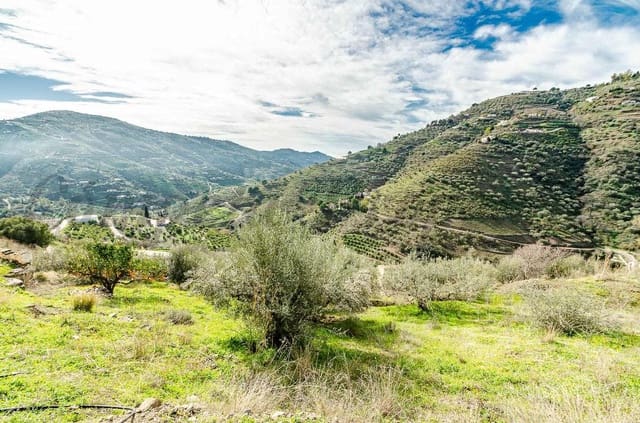 Finca/Casa Rural en Cómpeta en venta - 212.000 € (Ref: 10075969)