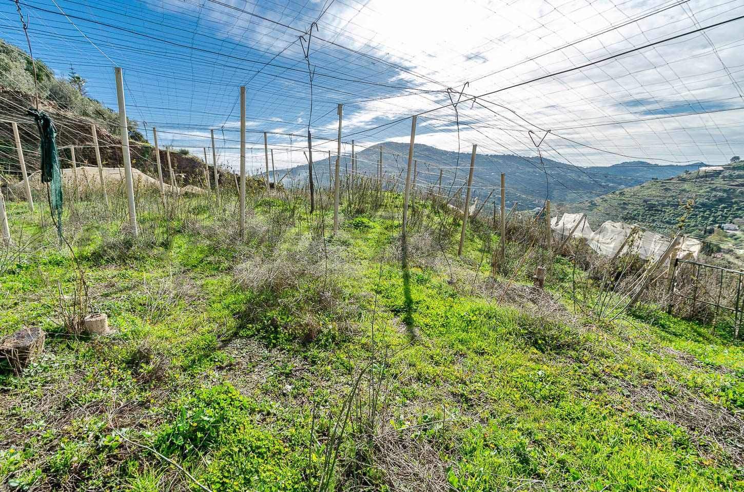 Finca/Casa Rural en Cómpeta en venta - 212.000 € (Ref: 10075969)