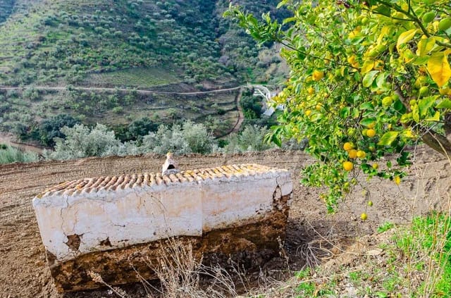 Finca/Casa Rural en Cómpeta en venta con garaje - 110.000 € (Ref: 10075970)