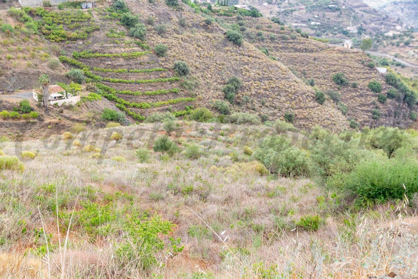 Landgrundstück zu verkaufen in Torrox - 28.000 € (Ref: 10075972)