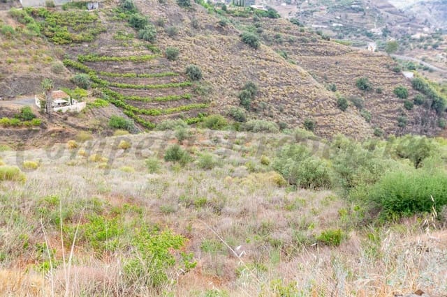 Terreno Non Edificato in vendita in Torrox Pueblo, Torrox - 28.000 € (Rif: 10075972)