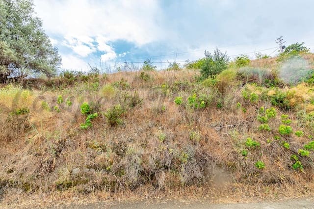 Terreno Non Edificato in vendita in Torrox Pueblo, Torrox - 28.000 € (Rif: 10075972)