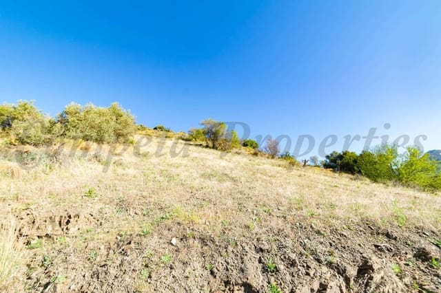 Grunde uden byggetilladelser til salg i Torrox Pueblo, Torrox - € 33.000 (Ref: 10075973)