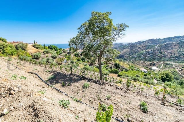 Landgrundstück zu verkaufen in Torrox Pueblo, Torrox - 150.000 € (Ref: 10075977)