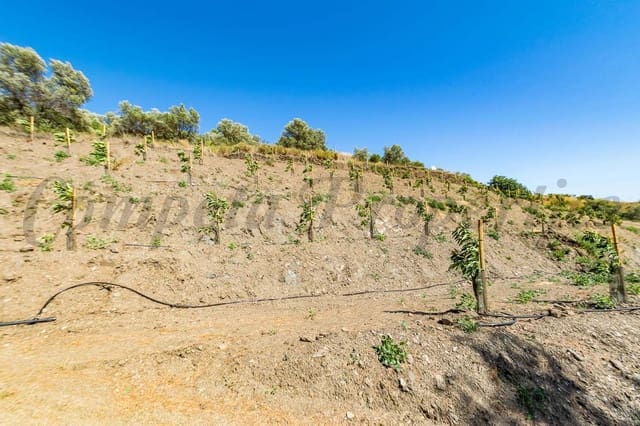 Landgrundstück zu verkaufen in Torrox Pueblo, Torrox - 150.000 € (Ref: 10075977)