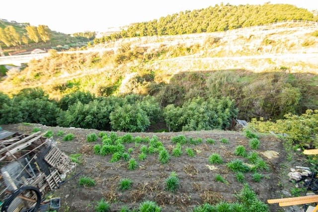 Solar/Parcela en Torrox Pueblo, Torrox en venta - 1.600.000 € (Ref: 10075983)