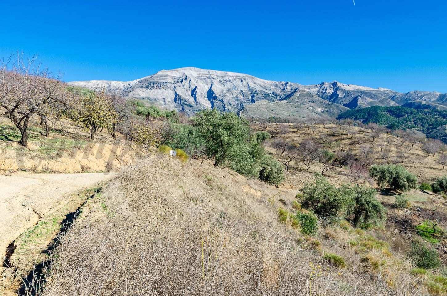Finca/Country House for sale in Sedella - € 220,000 (Ref: 10075984)
