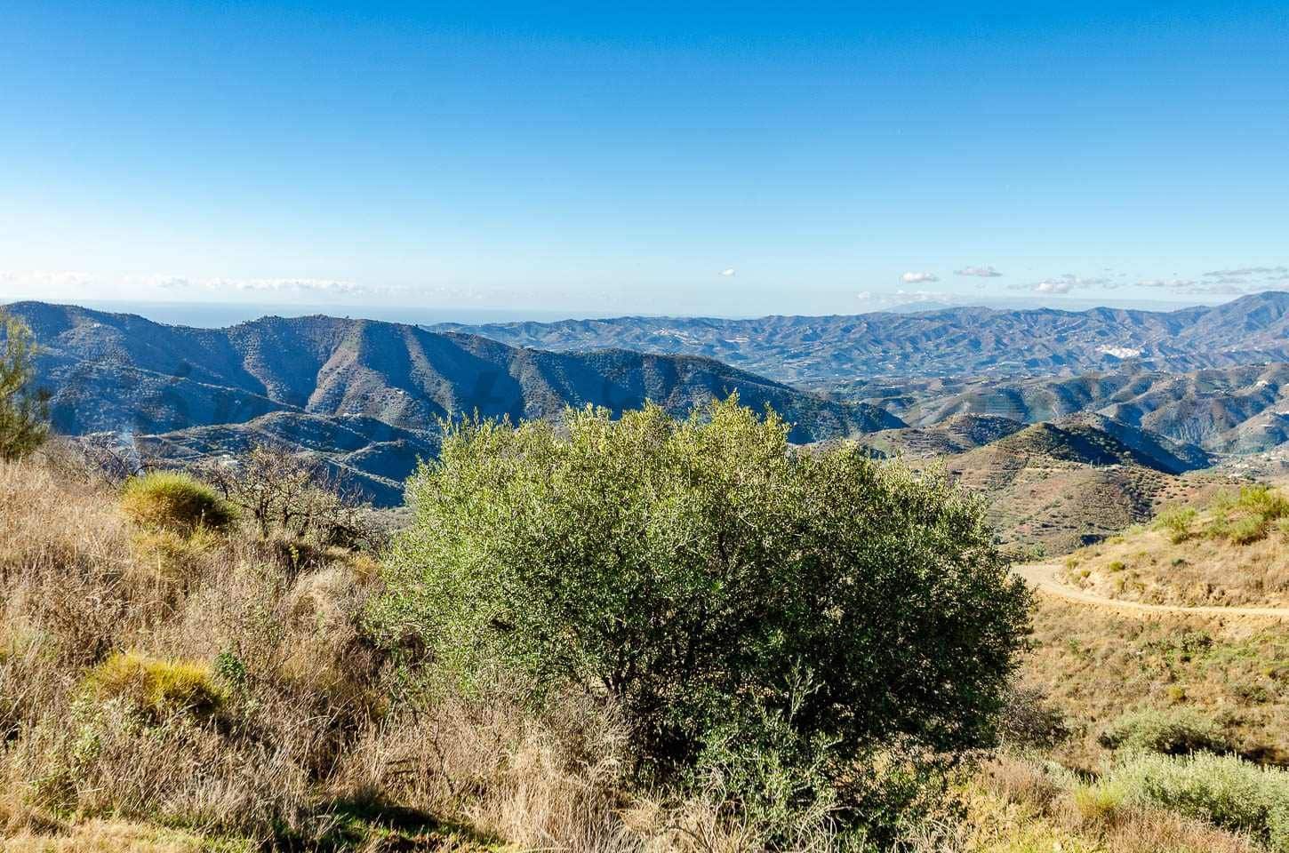 Finca/Country House for sale in Sedella - € 220,000 (Ref: 10075984)