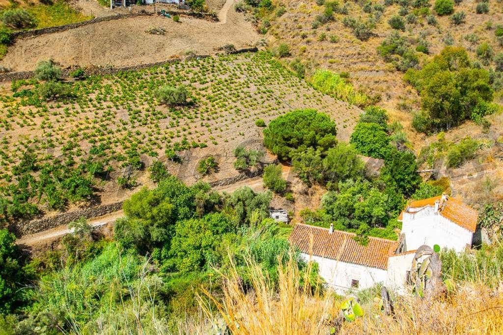 Landgrundstück zu verkaufen in Torrox - 89.000 € (Ref: 10075989)