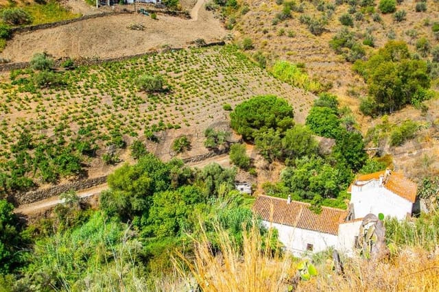 Landgrundstück zu verkaufen in Torrox Pueblo, Torrox - 89.000 € (Ref: 10075989)