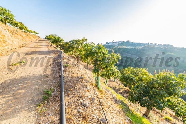 Area Edificabile in vendita in Benajarafe, Vélez-Málaga - 1.100.000 € (Rif: 10075992)
