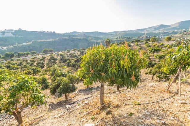 Area Edificabile in vendita in Benajarafe, Vélez-Málaga - 1.100.000 € (Rif: 10075992)