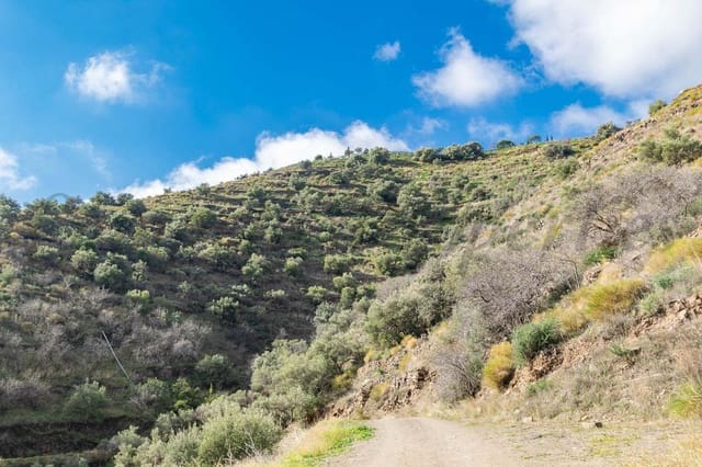Terre non Aménagée à vendre à Torrox Pueblo, Torrox - 245 000 € (Ref: 10075995)