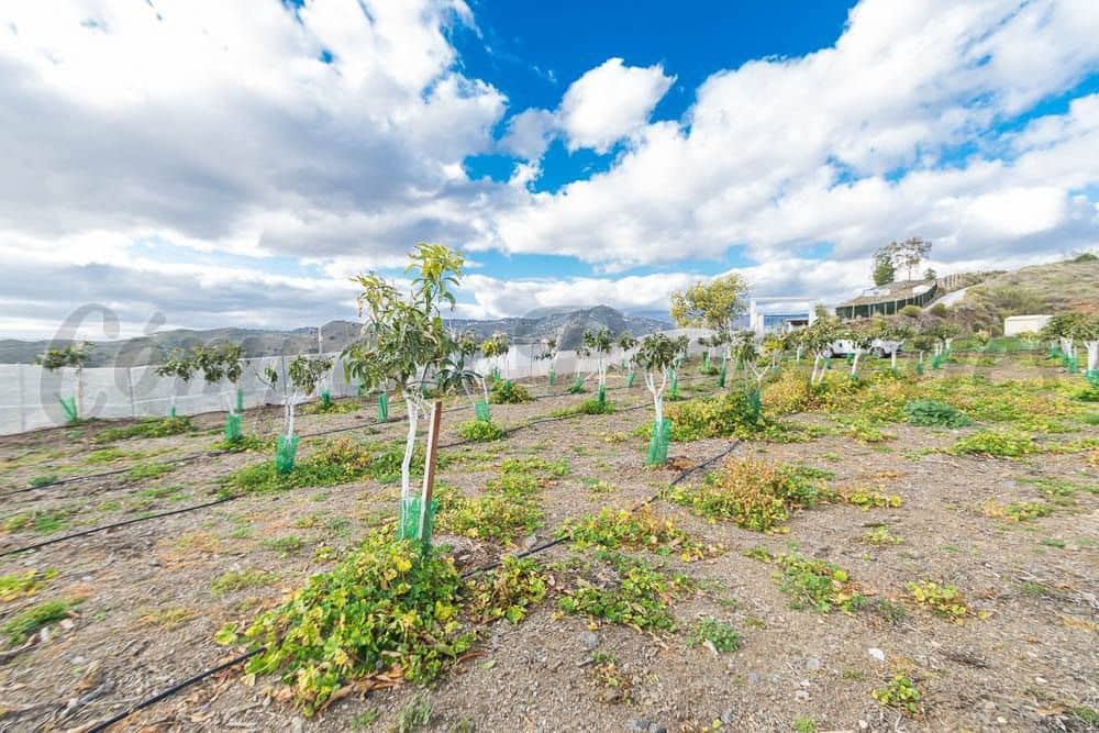 Terreno Não Urbanizado para venda em Torrox - 231 000 € (Ref: 10075997)