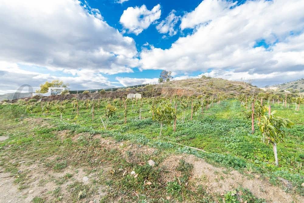 Terreno Não Urbanizado para venda em Torrox - 231 000 € (Ref: 10075997)