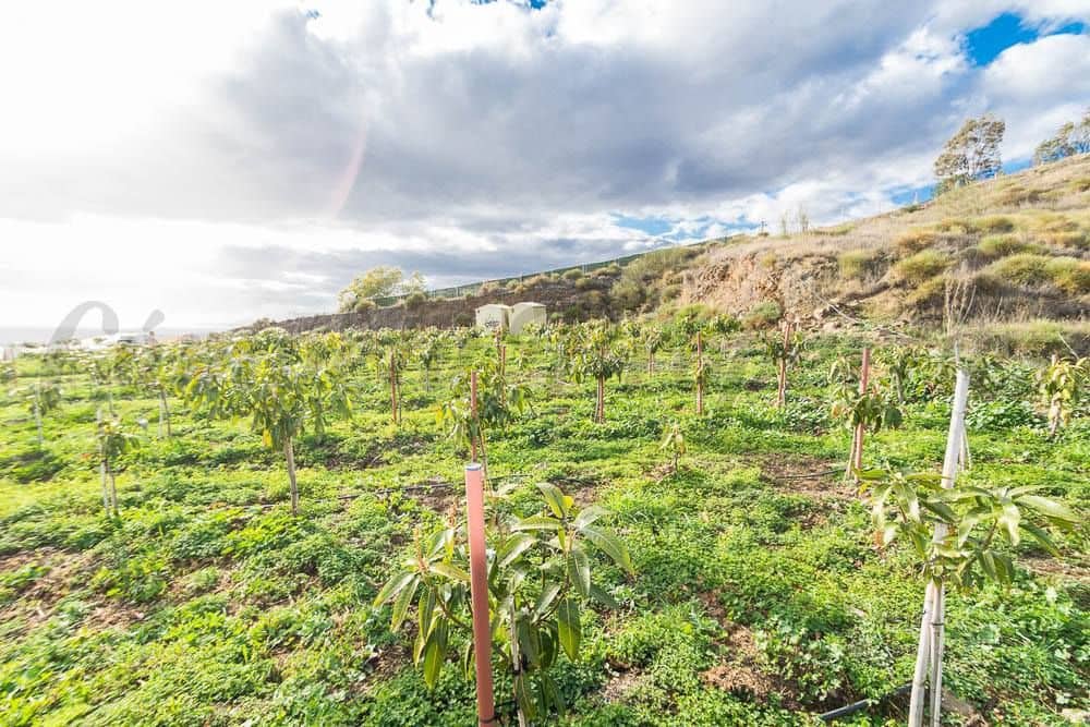 Terreno Não Urbanizado para venda em Torrox - 231 000 € (Ref: 10075997)