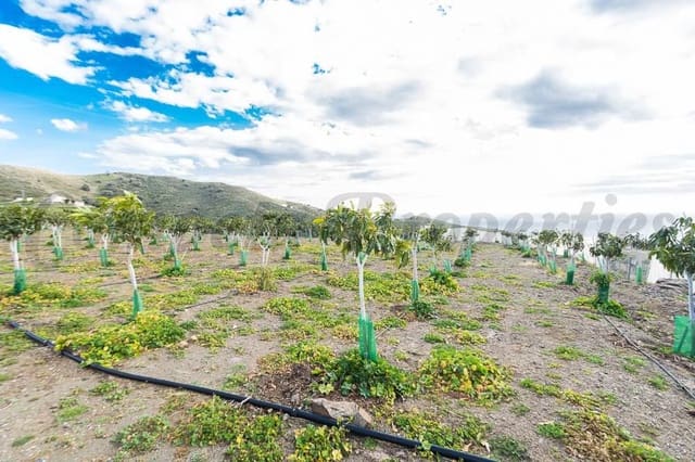 Grunde uden byggetilladelser til salg i Torrox - € 231.000 (Ref: 10075997)