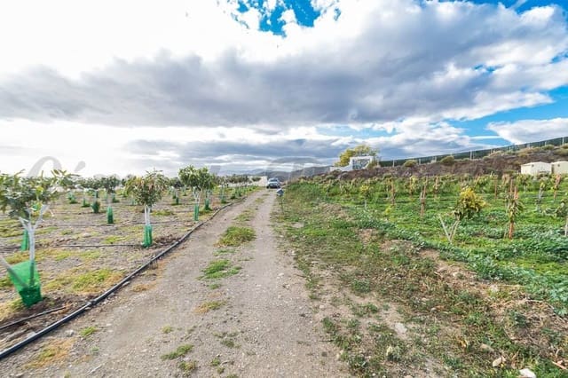 Grunde uden byggetilladelser til salg i Torrox - € 231.000 (Ref: 10075997)