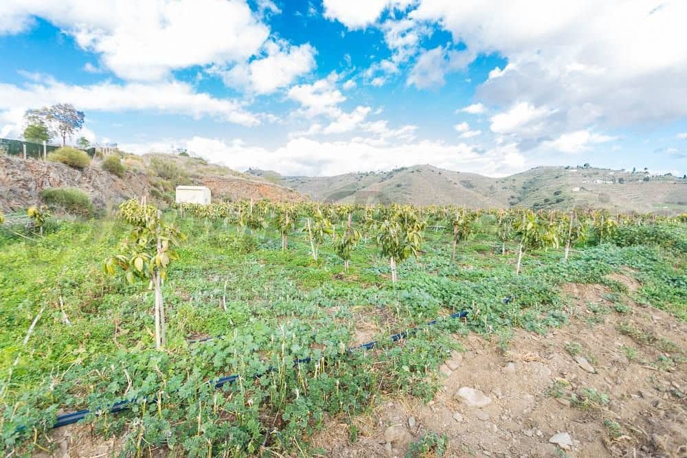 Terreno Não Urbanizado para venda em Torrox - 231 000 € (Ref: 10075997)