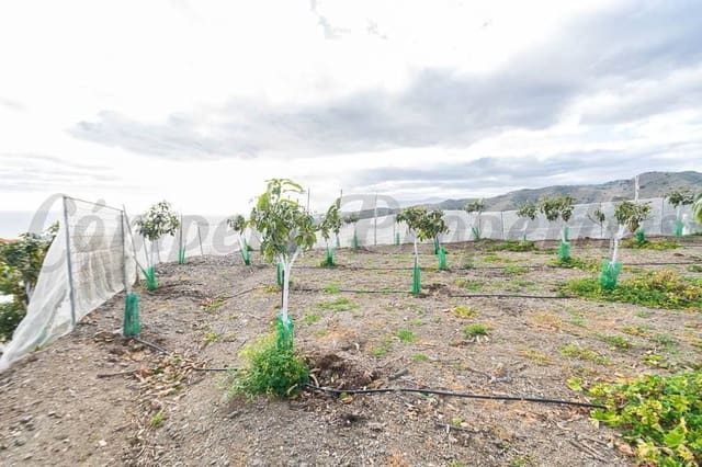 Grunde uden byggetilladelser til salg i Torrox - € 231.000 (Ref: 10075997)