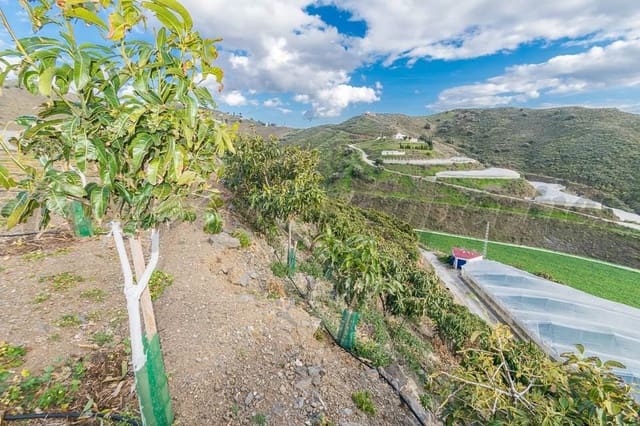 Grunde uden byggetilladelser til salg i Torrox - € 231.000 (Ref: 10075997)