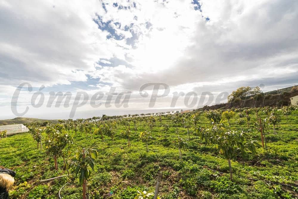 Terreno Não Urbanizado para venda em Torrox - 231 000 € (Ref: 10075997)