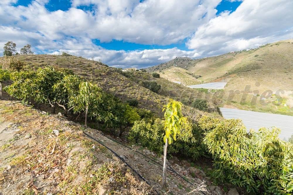 Terreno Não Urbanizado para venda em Torrox - 231 000 € (Ref: 10075997)