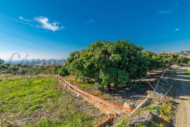 Byggegrund til salg i Torrox Park, Torrox - € 1.545.000 (Ref: 10075999)
